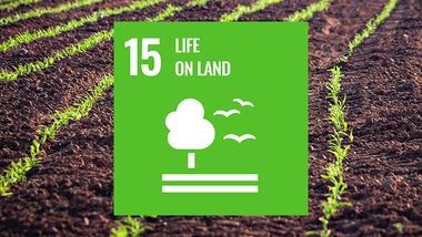 Healthy Land SDG 15 TOC.jpg