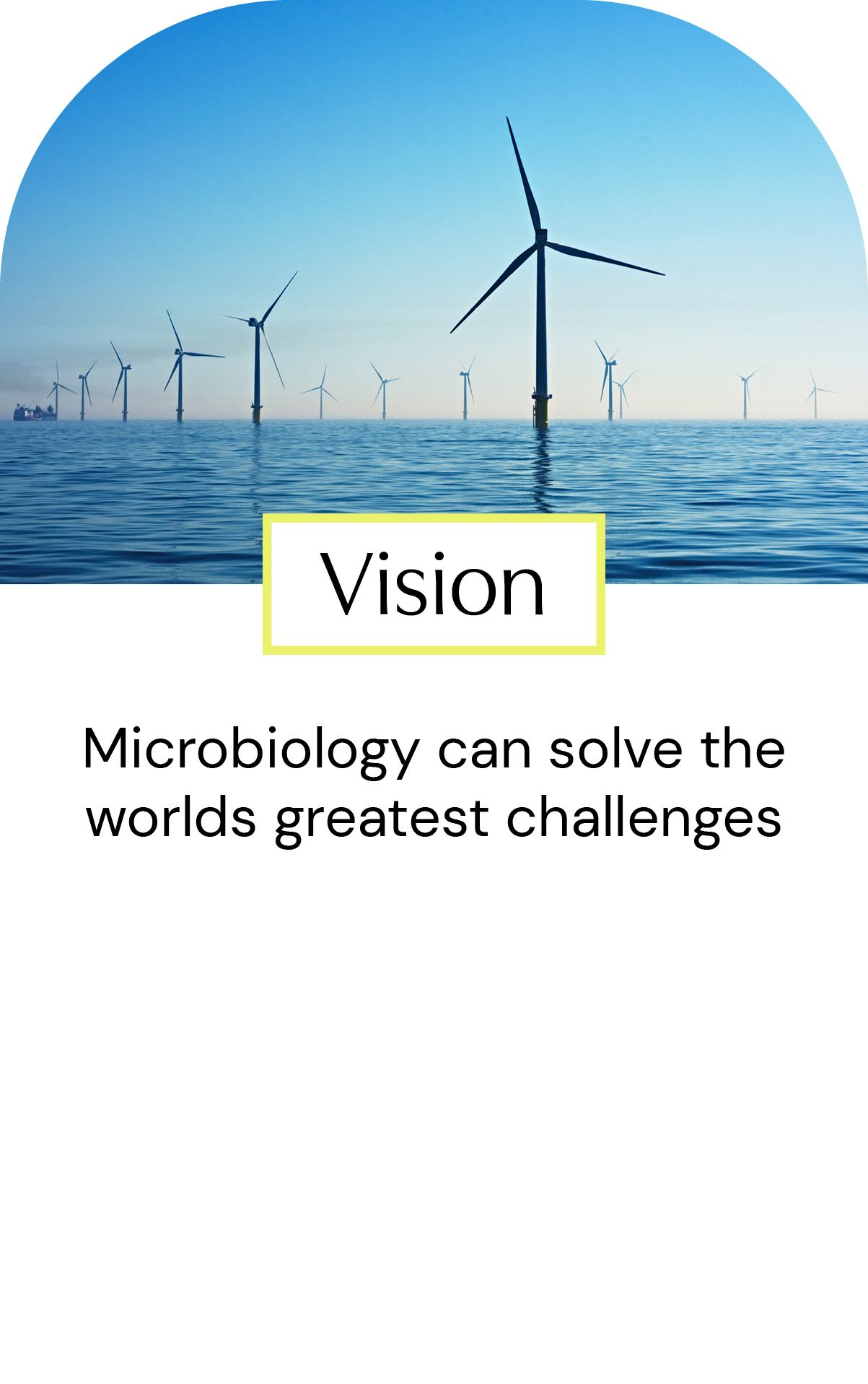 Vision infographic 1.png