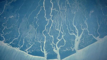 14580_nigerdelta_nasa_188599_crop (1).jpg