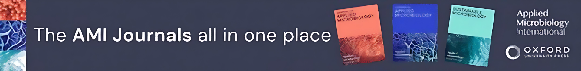 AMI Journal Site Banner.png