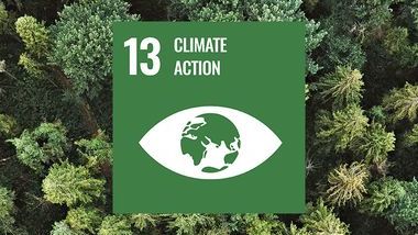 Climate Action SDG 13 TOC.jpg