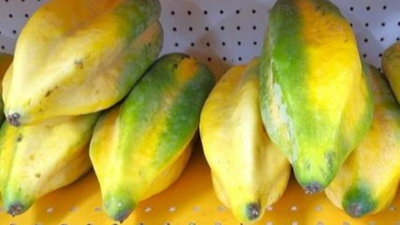 Low-Res_Babaco fruit.jpg