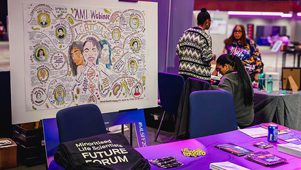 AMI Diversity MLSFF.jpg