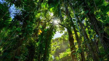 iStock-2165559421.jpg 1