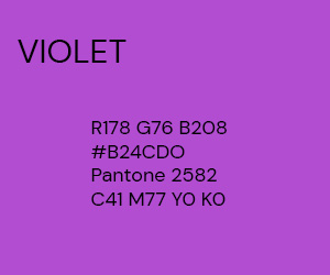 300 x 250 VIOLET PS.jpg
