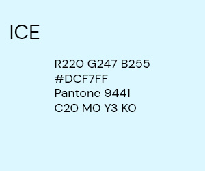 300 x 250 ICE PS.jpg